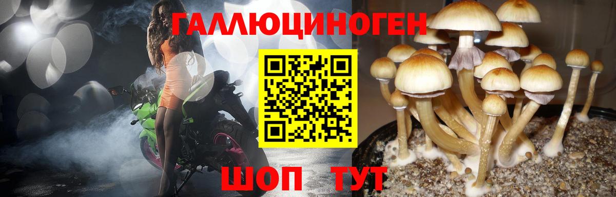 Псилоцибиновые грибы MAGIC MUSHROOMS Звенигород